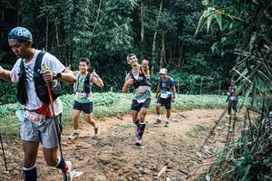 BIB: 
                            <button type="button" onclick="openModal(25955813)" class="btn btn-primary btn-sm float-right btn-popup" data-toggle="modal" data-target=".modal-high-quality">
                        <i class="fas fa-shopping-cart"></i> Add to Cart
                    </button>
                                            <button type="button" onclick="isThisMe(25955813, true)" class="btn btn-success btn-sm float-right btn-popup btn-isme hidden" data-toggle="tooltip" data-placement="bottom" title="นี่คือรูปของคุณใช่ไหม คลิกที่นี่เพื่อเอาเข้าอัลบั้ม">
                        <i class="fas fa-plus"></i> Add to album
                    </button>
                    <button type="button" onclick="isThisMe(25955813, false)" class="btn btn-warning btn-sm float-right btn-popup btn-isnotme hidden">
                        <i class="fas fa-ban"></i> Remove from album
                    </button>